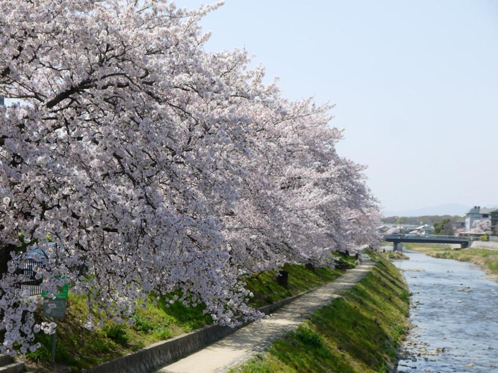 Hanare Kyoto Chogeikan Esterno foto